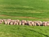 'Eudunda Hill' Thiele Highway, Eudunda, SA 5374-Image