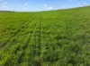 'Eudunda Hill' Thiele Highway, Eudunda, SA 5374-Image