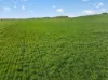 'Eudunda Hill' Thiele Highway, Eudunda, SA 5374-Image