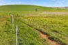 'Eudunda Hill' Thiele Highway, Eudunda, SA 5374-Image