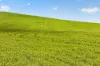 ', Eudunda SA 5374-Image