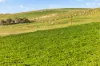 ', Eudunda SA 5374-Image