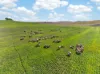', Eudunda SA 5374-Image