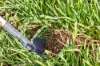 ', Eudunda SA 5374-Image