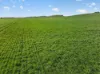 ', Eudunda SA 5374-Image