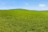 ', Eudunda SA 5374-Image
