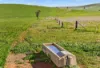 ', Eudunda SA 5374-Image