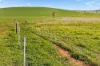 ', Eudunda SA 5374-Image