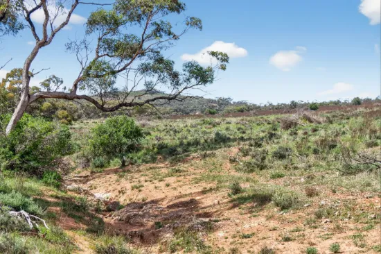 'Ferguson' Philps Road, Minvalara SA 5422-Image