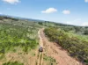 'Ferguson' Philps Road, Minvalara SA 5422-Image