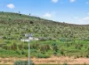 'Ferguson' Philps Road, Minvalara SA 5422-Image
