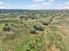 'Ferguson' Philps Road, Minvalara SA 5422-Image