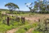 'Ferguson' Philps Road, Minvalara SA 5422-Image