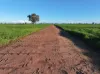 Gilgowrie  470 Berendebba Lane, Quandialla, NSW 2721-Image