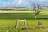 'Gleeson's Corner' Gleeson Road, Mount Templeton SA 5461-Image