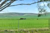'Gleeson's Corner' Gleeson Road, Mount Templeton SA 5461-Image