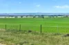 'Gleeson's Corner' Gleeson Road, Mount Templeton SA 5461-Image