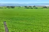'Gleeson's Corner' Gleeson Road, Mount Templeton SA 5461-Image