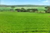 'Gleeson's Corner' Gleeson Road, Mount Templeton SA 5461-Image