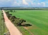 'Gleeson's Corner' Gleeson Road, Mount Templeton SA 5461-Image