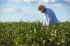 "Glengarry" 1947 Pampas - Horrane Road, Condamine Plains QLD 4352-Image