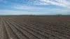 "Glengarry" 1947 Pampas - Horrane Road, Condamine Plains QLD 4352-Image