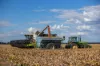 "Glengarry" 1947 Pampas - Horrane Road, Condamine Plains QLD 4352-Image