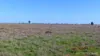 Glenhope Girilambone Road, Girilambone, NSW 2831-Image
