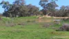 Glenhope Girilambone Road, Girilambone, NSW 2831-Image