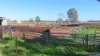 Glenhope Girilambone Road, Girilambone, NSW 2831-Image