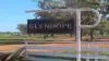 Glenhope Girilambone Road, Girilambone, NSW 2831-Image
