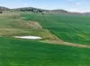 'Glen's' Cattle Station Road, Mount Bryan SA 5418-Image
