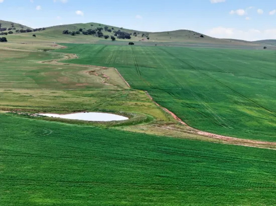'Glen's' Cattle Station Road, Mount Bryan SA 5418-Image
