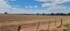 'Grogans' Banyenong-Jeffcott Road, Jeffcott North VIC 3480-Image