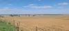 'Grogans' Banyenong-Jeffcott Road, Jeffcott North VIC 3480-Image
