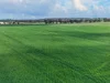 'Henry's' Main 45 Road, Steelton, SA 5413-Image