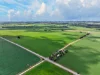 'Henry's' Main 45 Road, Steelton, SA 5413-Image