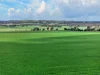 'Henry's' Main 45 Road, Steelton, SA 5413-Image