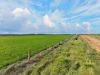 'Henry's' Main 45 Road, Steelton, SA 5413-Image