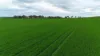 'Hillview' Wilkins Highway, Gladstone, SA 5473-Image