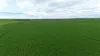 'Hillview' Wilkins Highway, Gladstone, SA 5473-Image