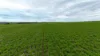 'Hillview' Wilkins Highway, Gladstone, SA 5473-Image