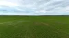 'Hillview' Wilkins Highway, Gladstone, SA 5473-Image