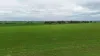 'Hillview' Wilkins Highway, Gladstone, SA 5473-Image