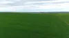 'Hillview' Wilkins Highway, Gladstone, SA 5473-Image
