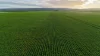 'Illamatta' 946 Barunga East Road, Burnsfield, SA 5520-Image