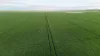 'Illamatta' 946 Barunga East Road, Burnsfield, SA 5520-Image