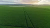 'Illamatta' 946 Barunga East Road, Burnsfield, SA 5520-Image