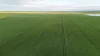 'Illamatta' 946 Barunga East Road, Burnsfield, SA 5520-Image