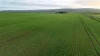 'Illamatta' 946 Barunga East Road, Burnsfield, SA 5520-Image